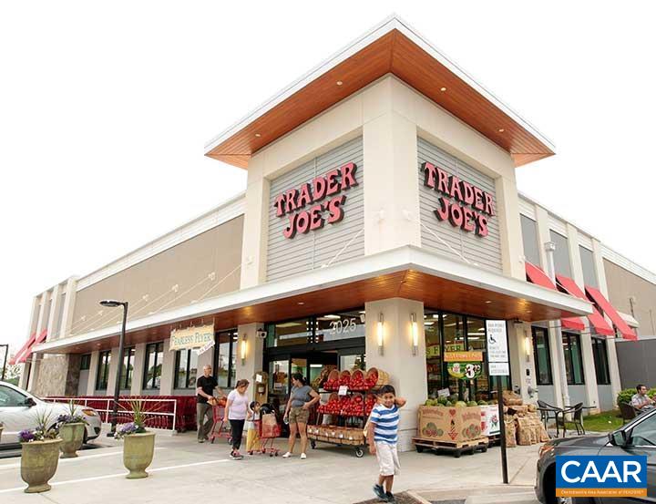 115 Turtle Creek Road, Unit 8 Charlottesville, VA 22901 - Photo 38 of 40 a view of street with shops