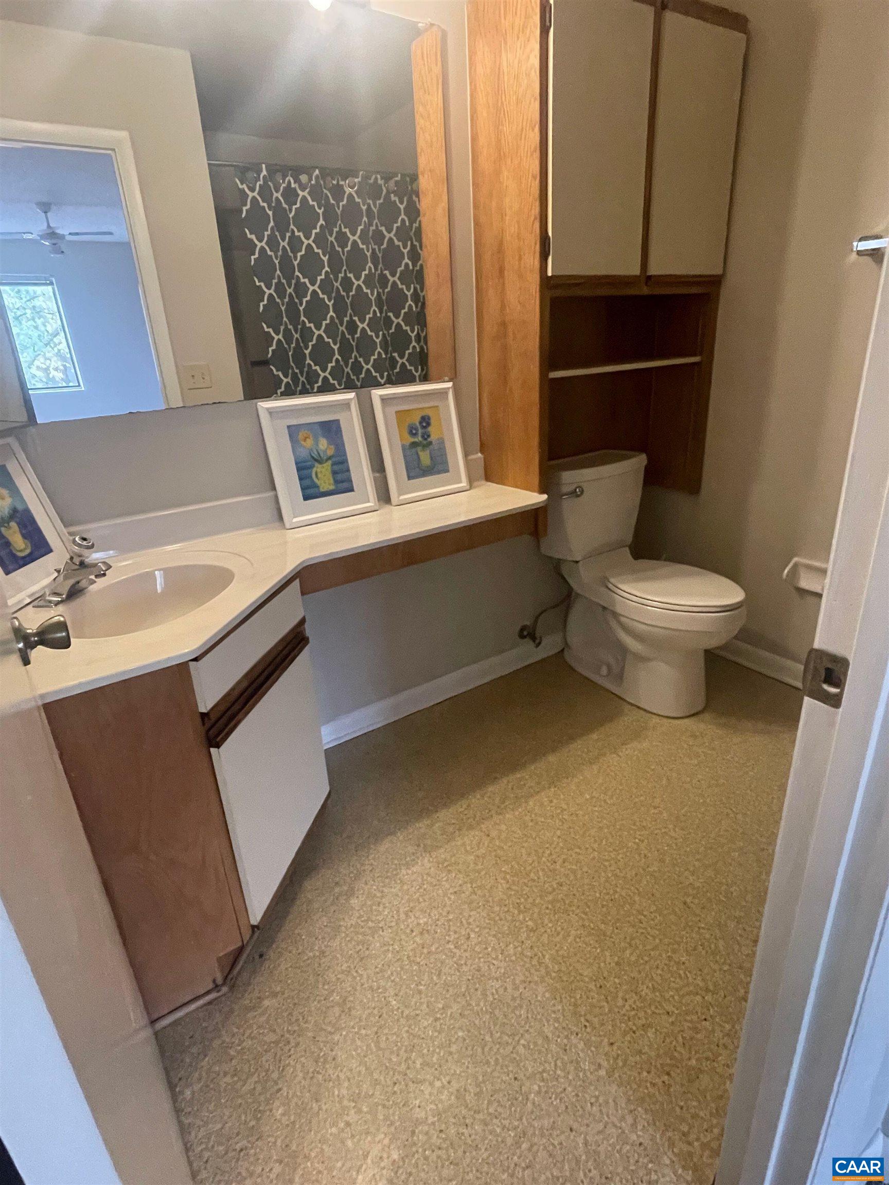 115 Turtle Creek Road, Unit 8 Charlottesville, VA 22901 - Photo 4 of 40 a bathroom with a toilet sink and mirror