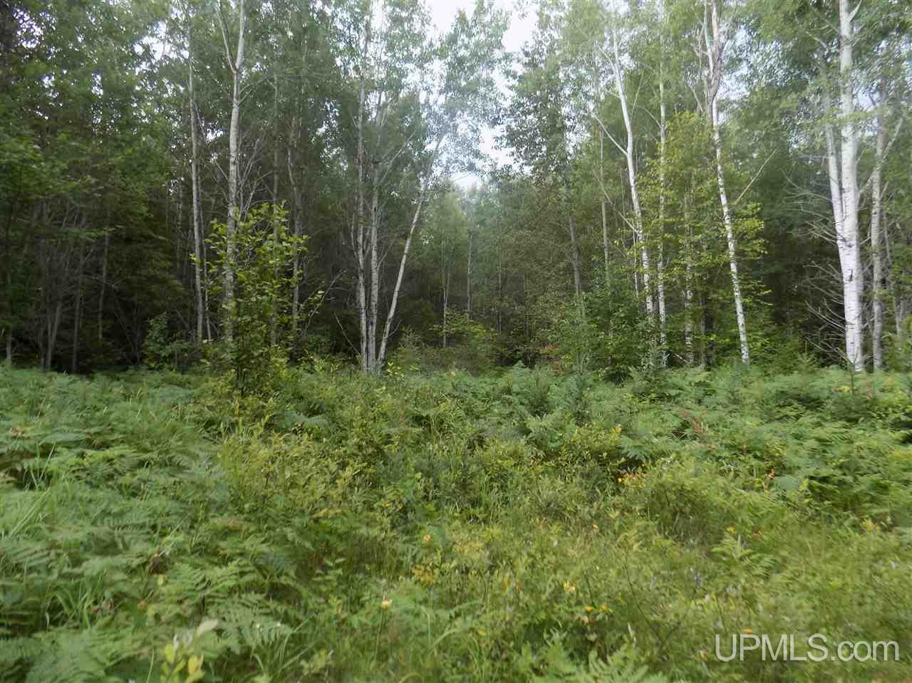 Tbd Mill Creek Road Republic, MI 49879 - Photo 3 of 11