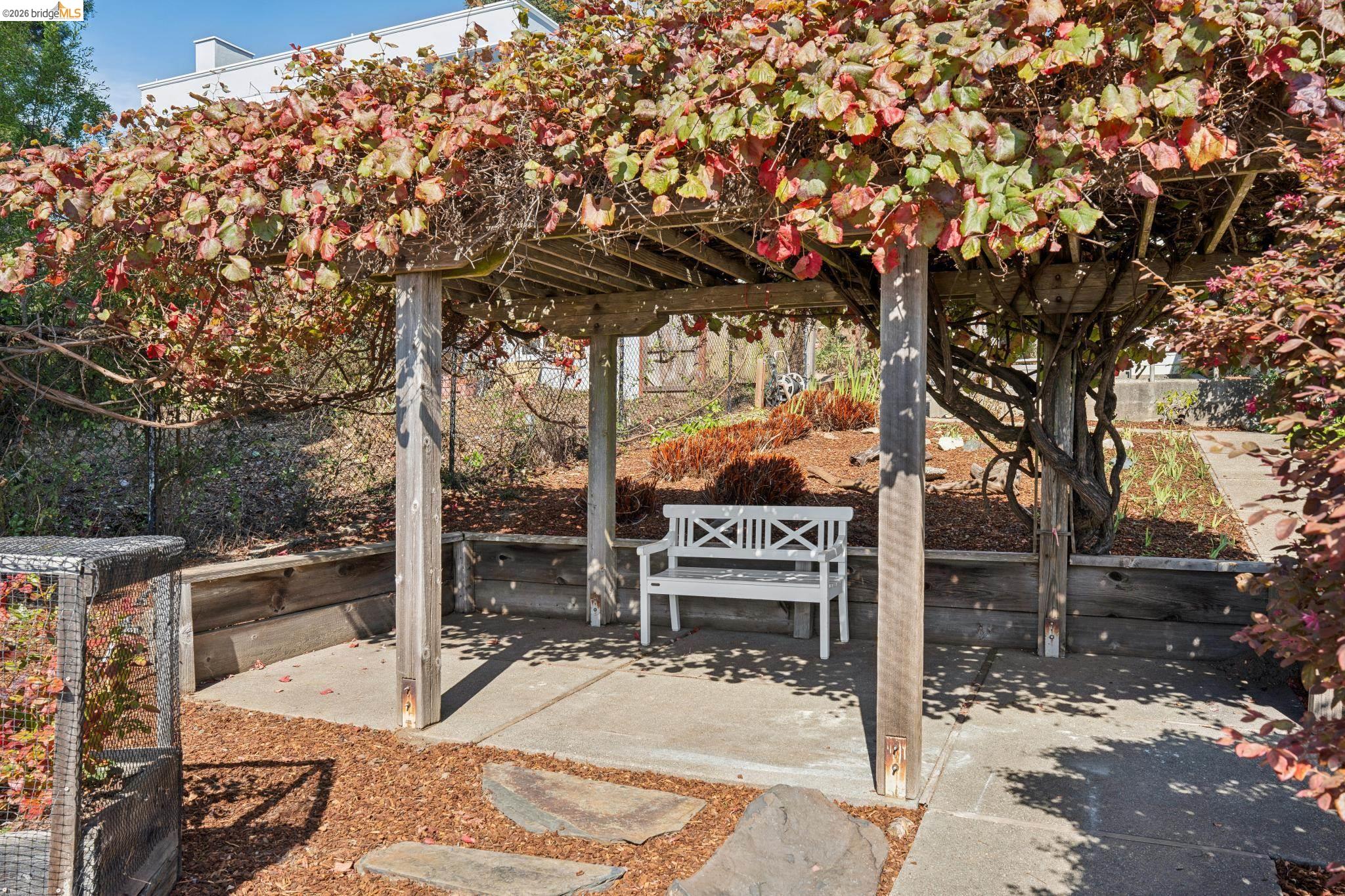 38 Highgate Road Kensington, CA 94707 - Photo 63 of 78 Wood pergola with mature vine coverage over a concrete patio