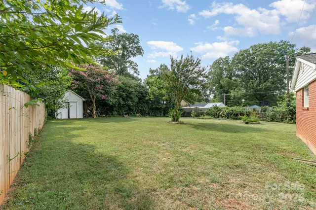 a view of a trees in a yard