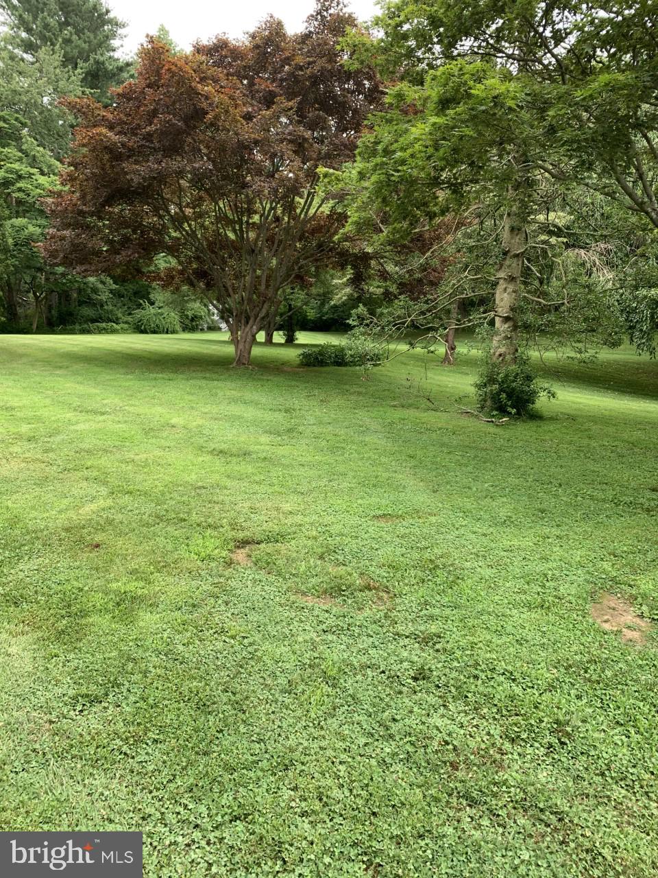 721 Clyde Circle Bryn Mawr, PA 19010 - Photo 2 of 2 Yard View