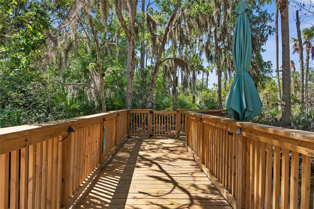 116 Pine Tree Street Flagler Beach, FL 32136 - Photo 37 of 58