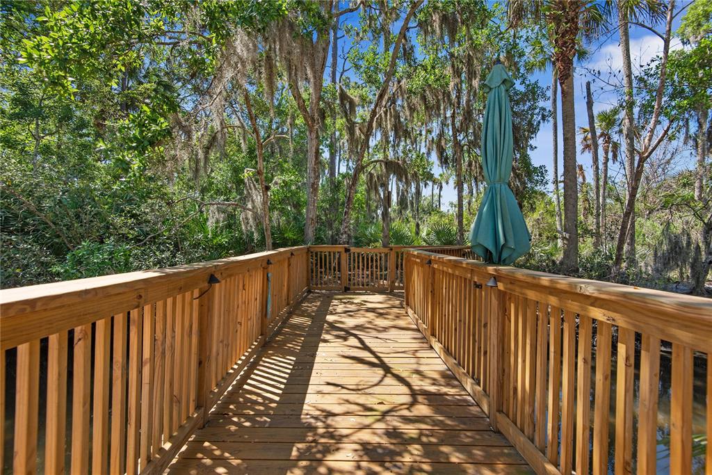 116 Pine Tree Street Flagler Beach, FL 32136 - Photo 38 of 58