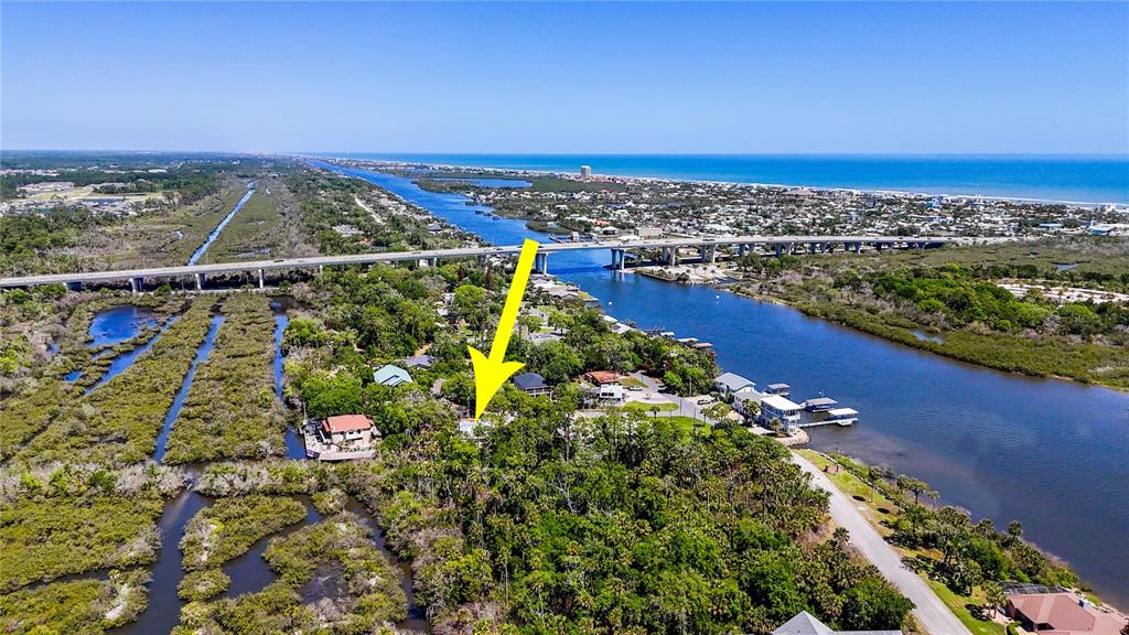 116 Pine Tree Street Flagler Beach, FL 32136 - Photo 50 of 58