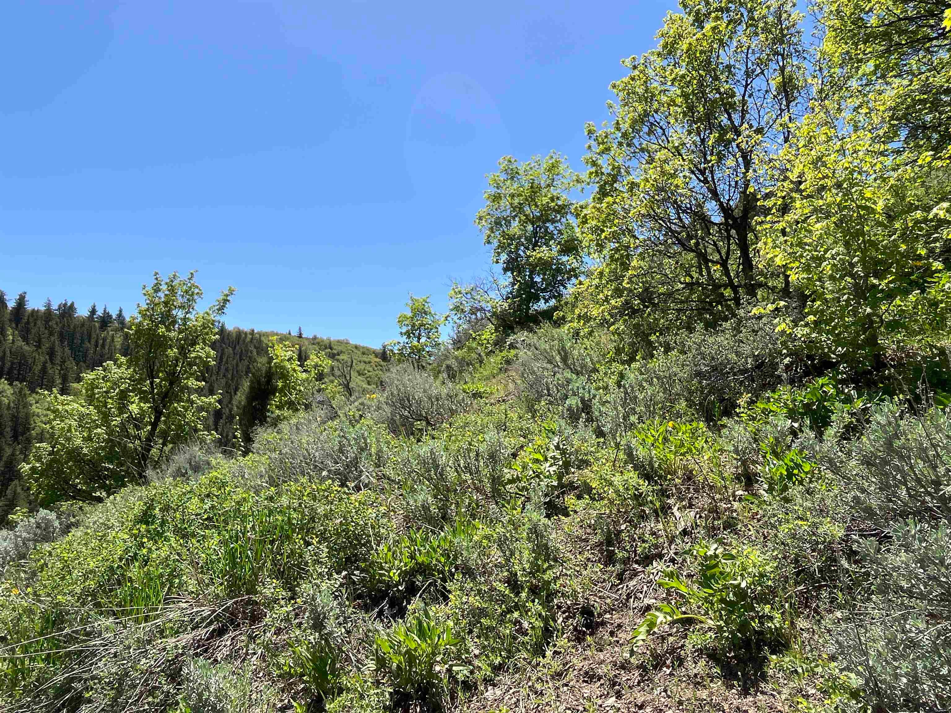 North Whispering Pines Road Pocatello, ID 83201 - Photo 38 of 42 Gallery Image 38