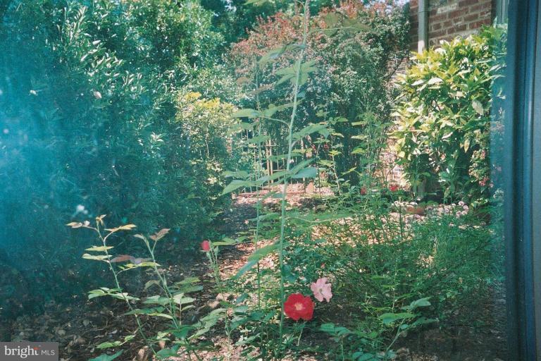 2002 Plyers Mill Road Silver Spring, MD 20902 - Photo 17 of 29 a backyard of a house with lots of green space and a fountain