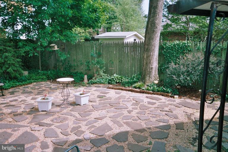 2002 Plyers Mill Road Silver Spring, MD 20902 - Photo 20 of 29 a view of a yard with plants and large trees