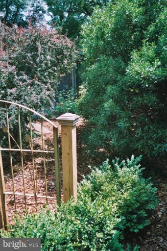2002 Plyers Mill Road Silver Spring, MD 20902 - Photo 27 of 29 a view of a backyard