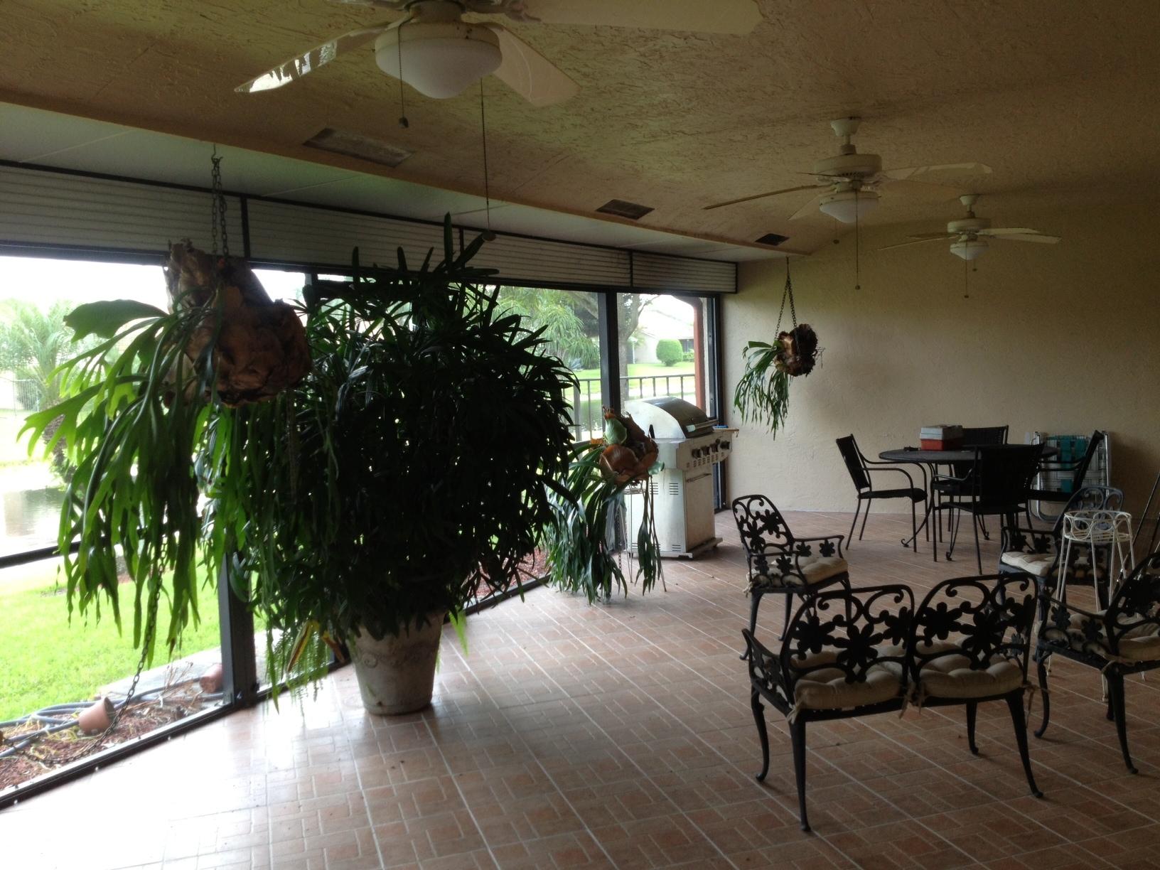 photo (1)