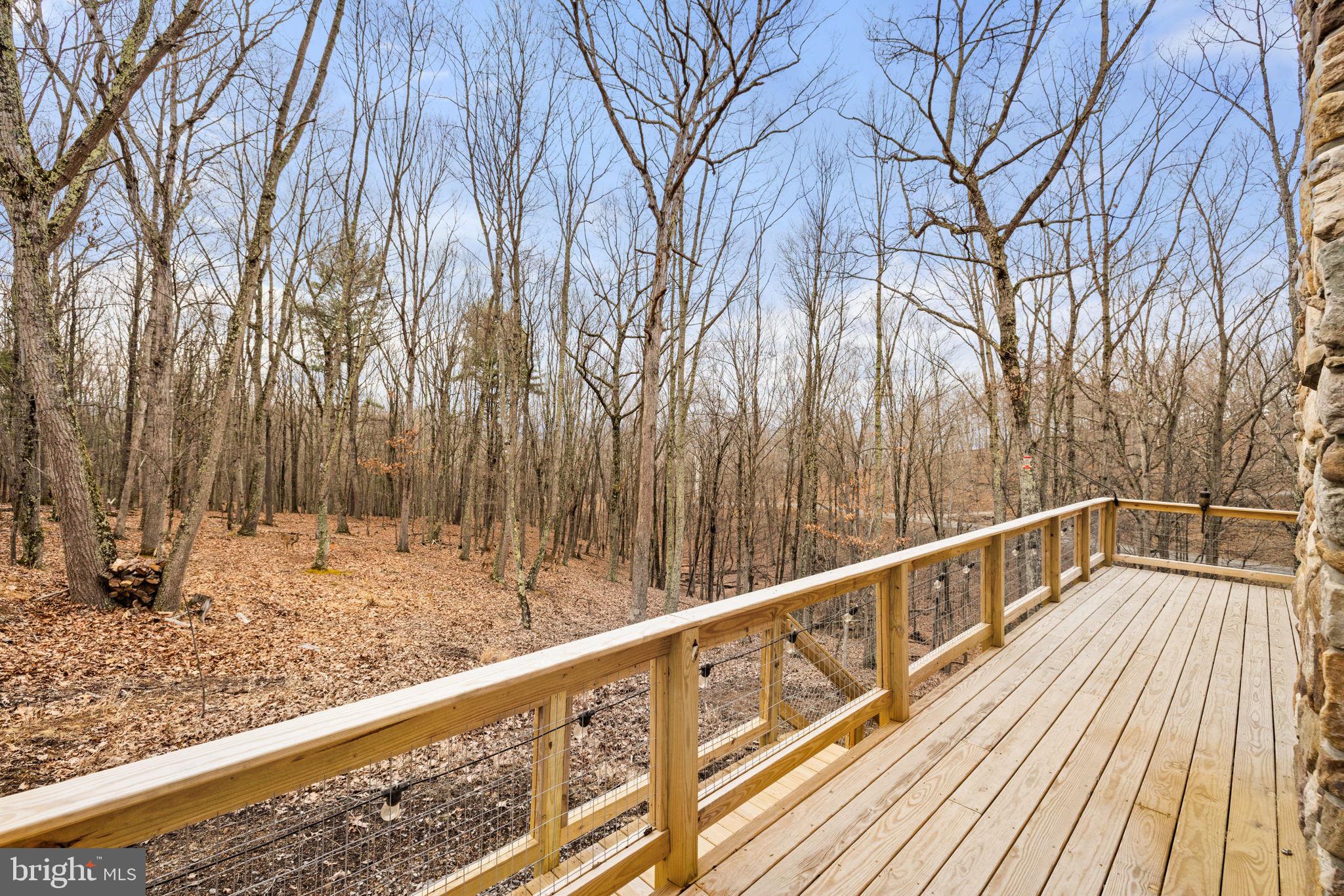 2368 Crossings View Road Paw Paw, WV 25434 - Photo 62 of 104