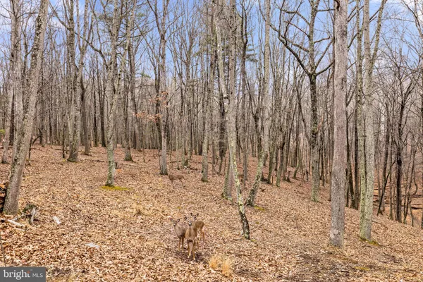 $379,000 | 2368 Crossings View Road, Paw Paw, WV 25434