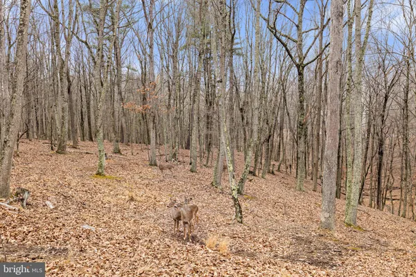 $379,000 | 2368 Crossings View Road, Paw Paw, WV 25434