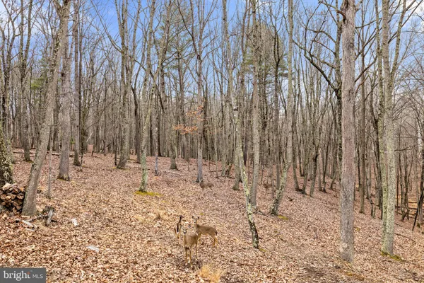 $379,000 | 2368 Crossings View Road, Paw Paw, WV 25434