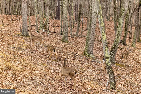 $379,000 | 2368 Crossings View Road, Paw Paw, WV 25434