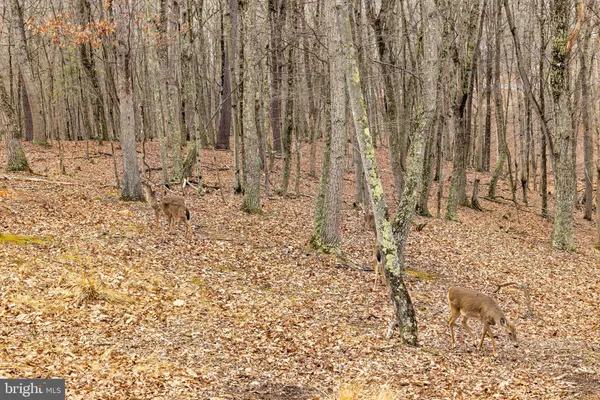 $379,000 | 2368 Crossings View Road, Paw Paw, WV 25434