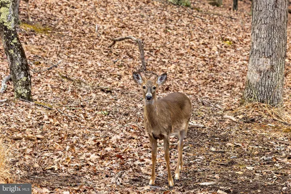 $379,000 | 2368 Crossings View Road, Paw Paw, WV 25434
