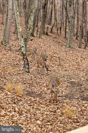 $379,000 | 2368 Crossings View Road, Paw Paw, WV 25434