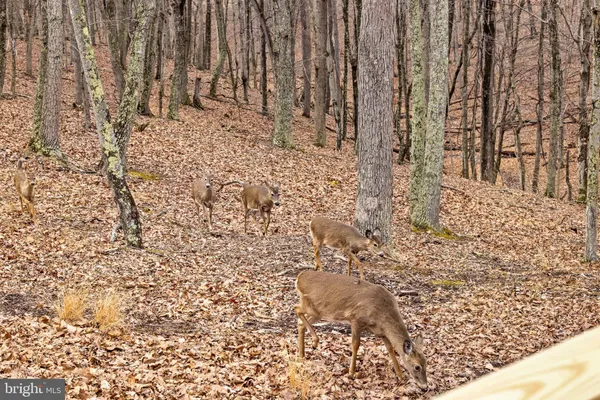 $379,000 | 2368 Crossings View Road, Paw Paw, WV 25434