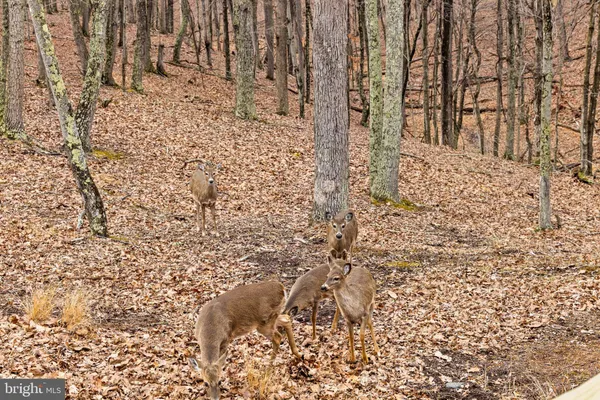 $379,000 | 2368 Crossings View Road, Paw Paw, WV 25434