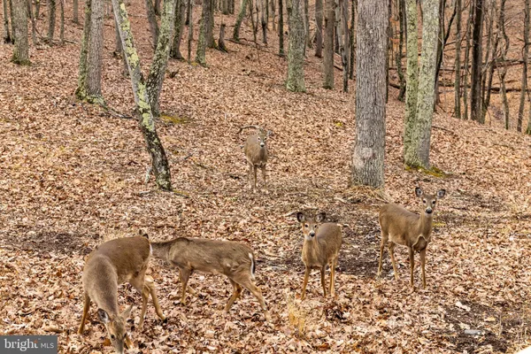 $379,000 | 2368 Crossings View Road, Paw Paw, WV 25434