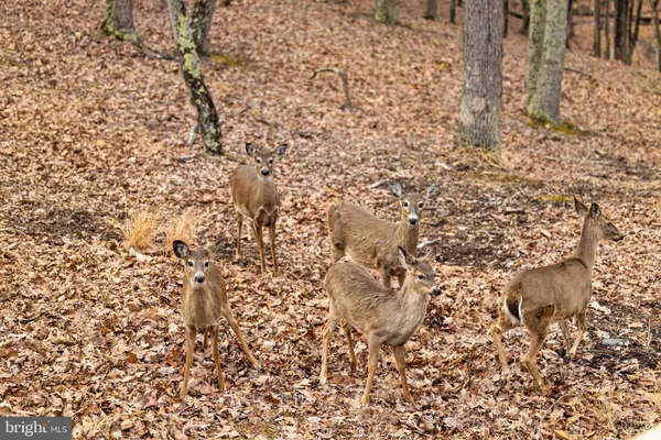 $379,000 | 2368 Crossings View Road, Paw Paw, WV 25434