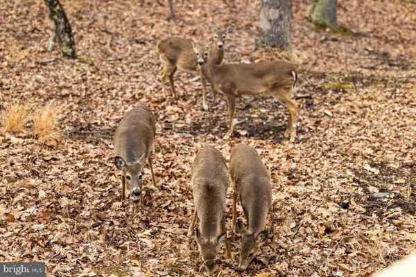 $379,000 | 2368 Crossings View Road, Paw Paw, WV 25434