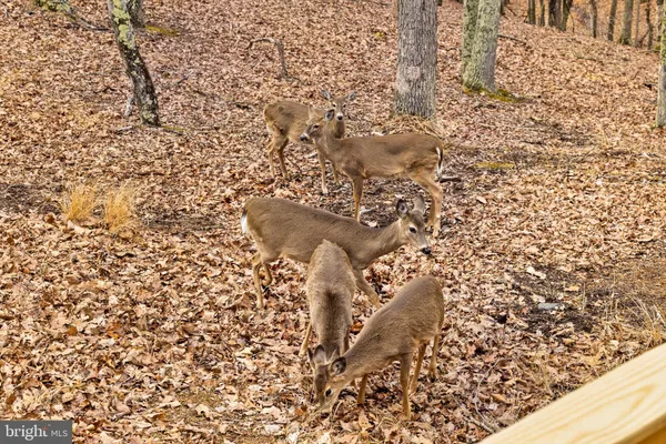 $379,000 | 2368 Crossings View Road, Paw Paw, WV 25434