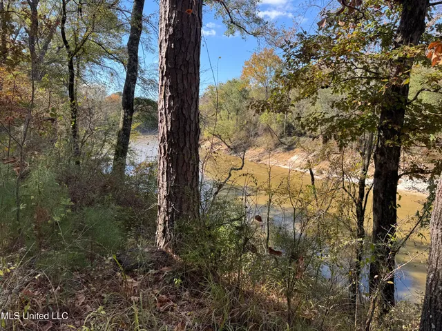 $80,000 | Rosemary Road, Florence, MS 39073