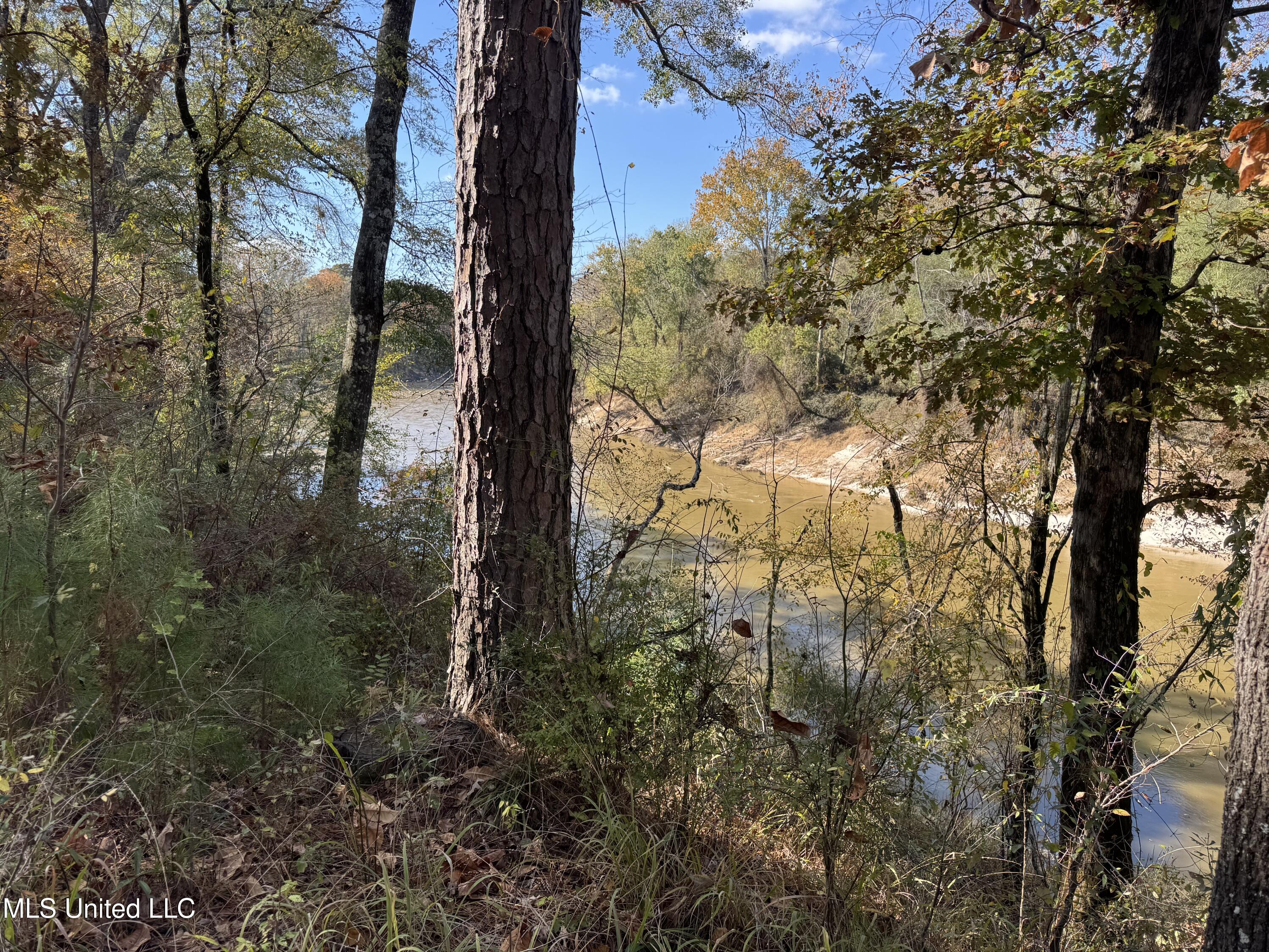 Rosemary Road Florence, MS 39073 - Photo 2 of 5 Waterview from opposite bank