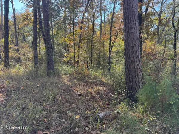 $80,000 | Rosemary Road, Florence, MS 39073