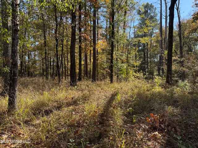 $80,000 | Rosemary Road, Florence, MS 39073