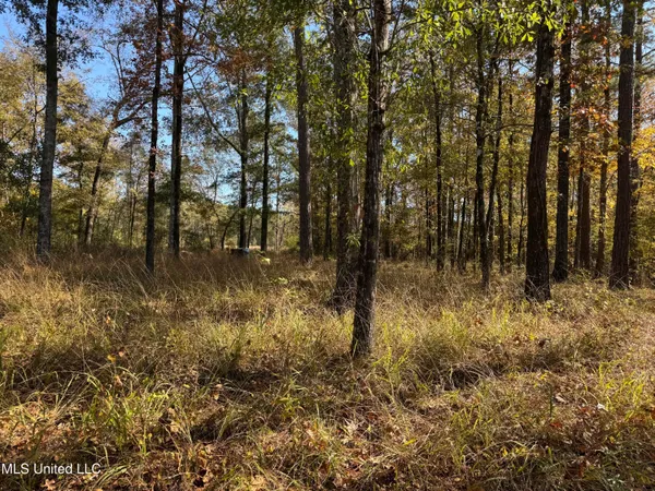 $80,000 | Rosemary Road, Florence, MS 39073