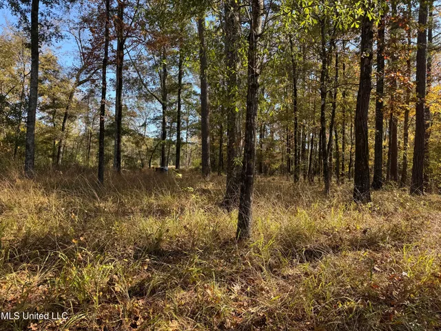 $80,000 | Rosemary Road, Florence, MS 39073
