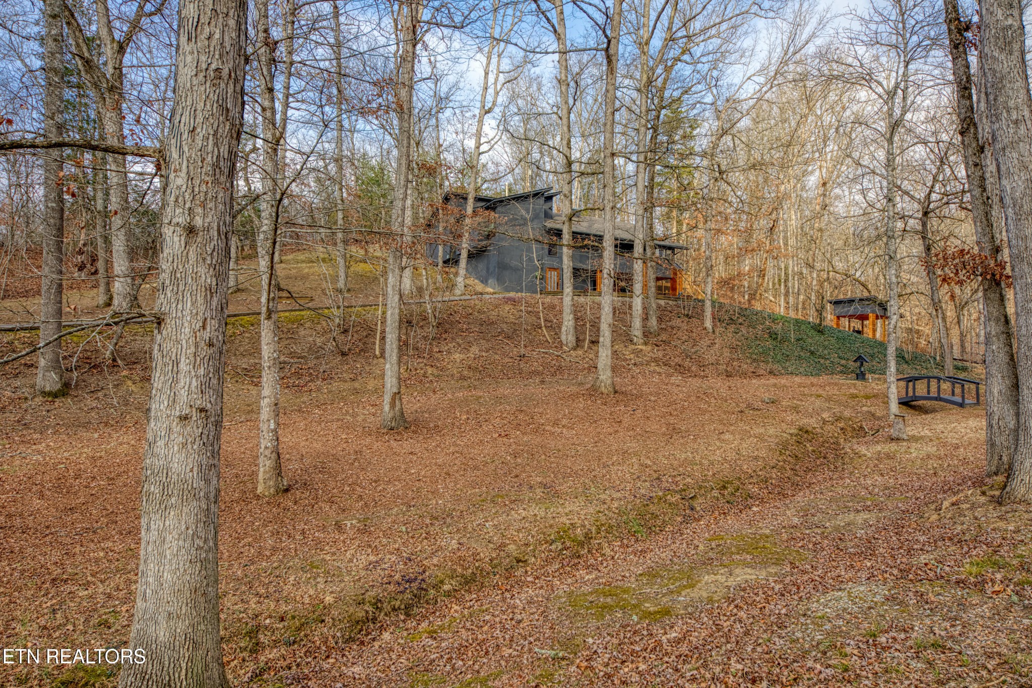 333 Enchanted Forest Way Sevierville, TN 37876 - Photo 41 of 42 a view of a yard