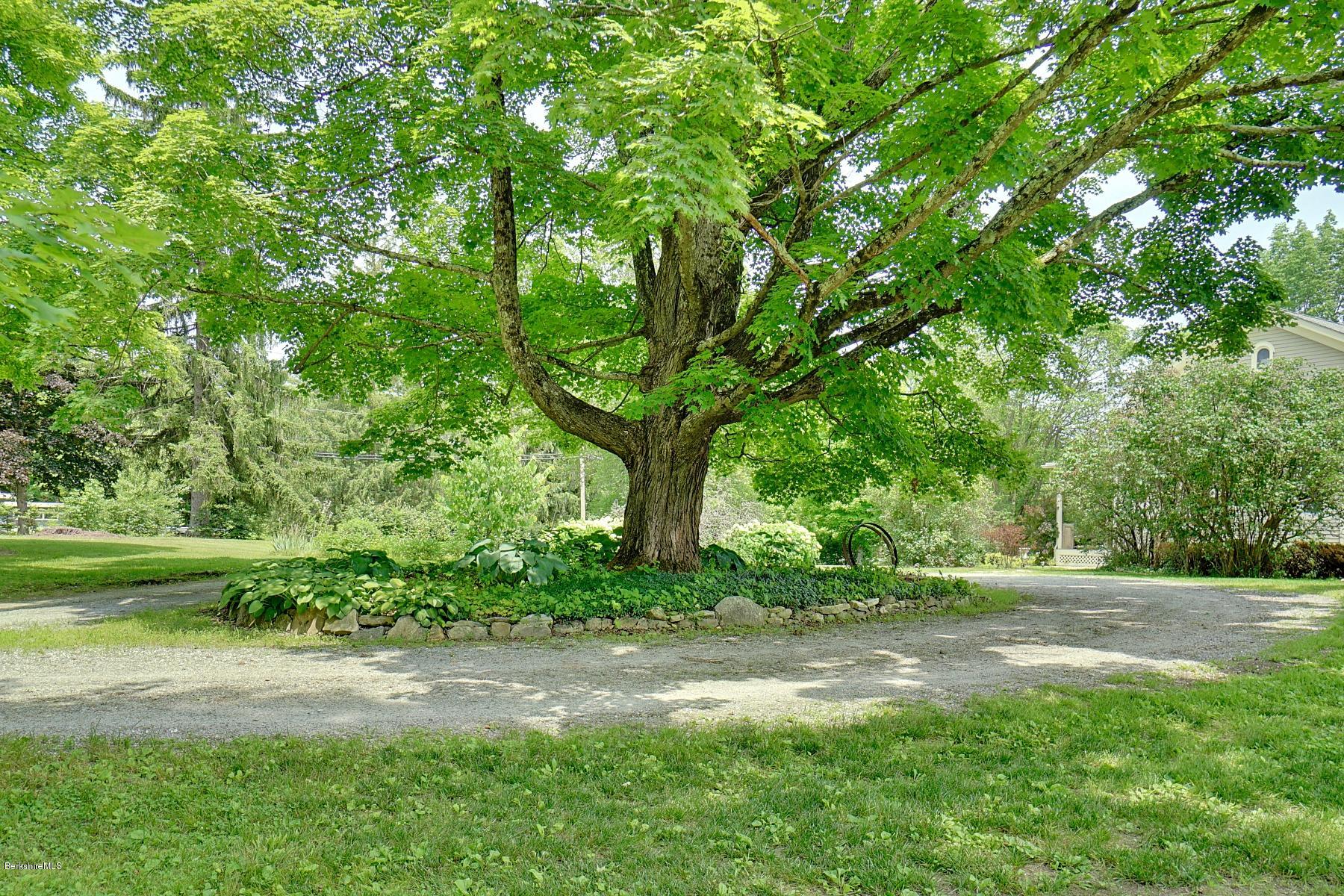200 Main Road Monterey, MA 01245 - Photo 8 of 30 a backyard of a house with lots of green space
