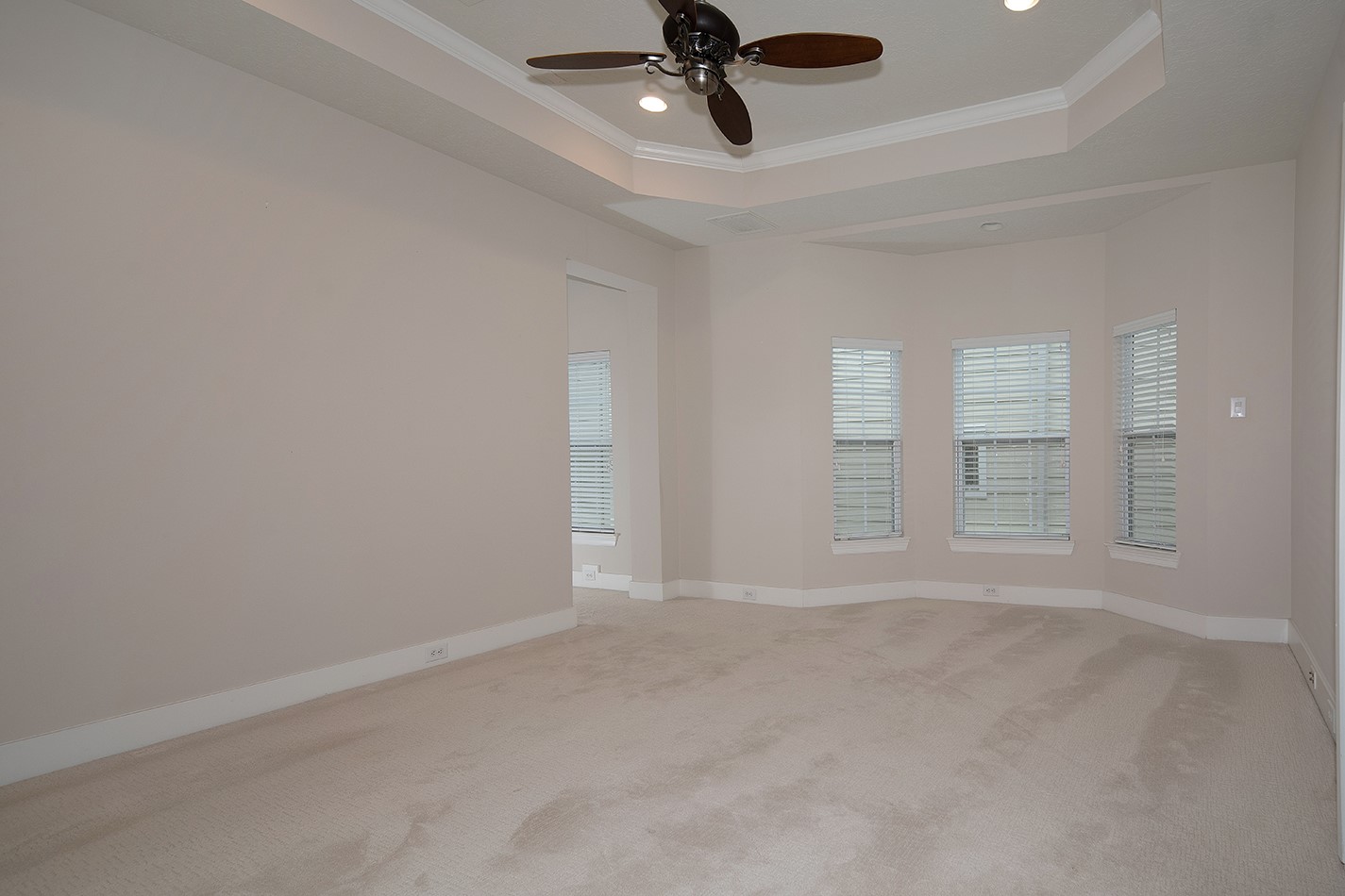 190 West Breezy Way Spring, TX 77380 - Photo 25 of 33 This spacious room features a tray ceiling with a ceiling fan, neutral carpeting, and large windows that provide ample natural light, creating a bright and inviting atmosphere.