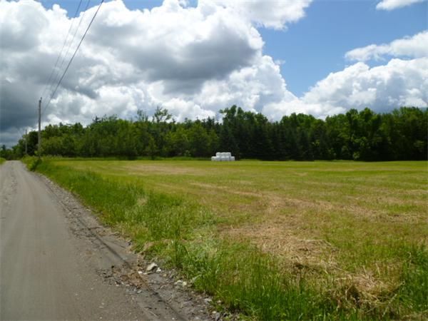 0 Bug Hill Ashfield, MA 01330 - Photo 3 of 8 Gallery Image 3