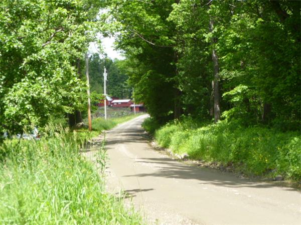0 Bug Hill Ashfield, MA 01330 - Photo 7 of 8 Gallery Image 7