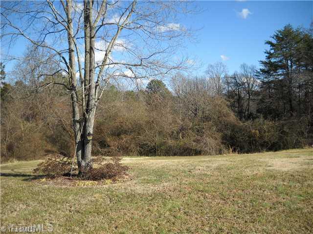 4813 Harvey Road Jamestown, NC 27282 - Photo 10 of 16 Yard/Garden.