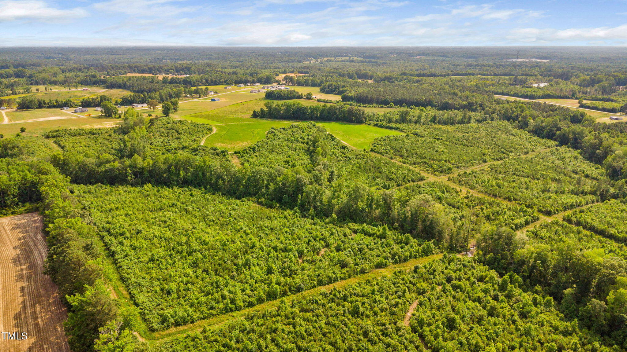 1390 Nick Coley Road Whitakers, NC 27891 - Photo 29 of 37 33-web-or-mls-1390-nick-coley-rd