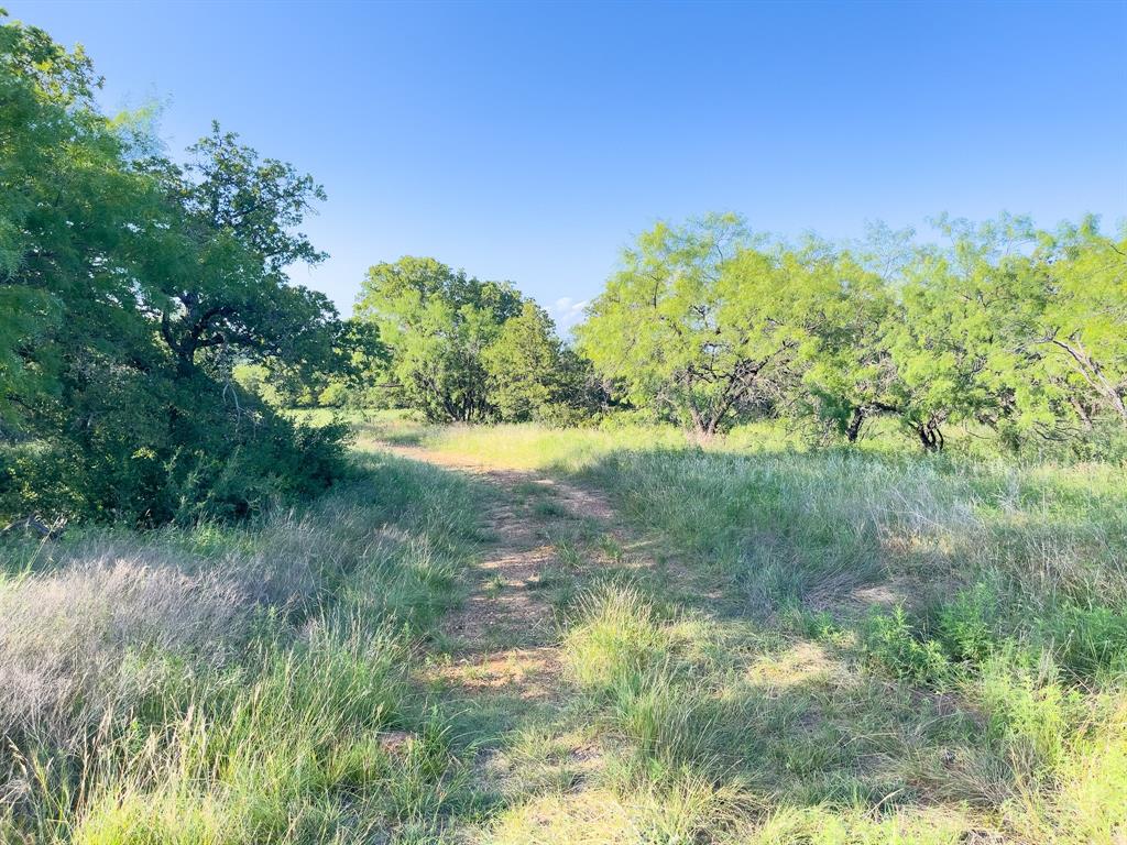 L 1 Rivertrail Circle Mingus, TX 76463 - Photo 13 of 37 a view of a garden