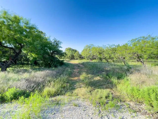 a view of a yard with a house