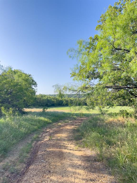L 1 Rivertrail Circle Mingus, TX 76463 - Photo 15 of 37 a view of a yard with a house