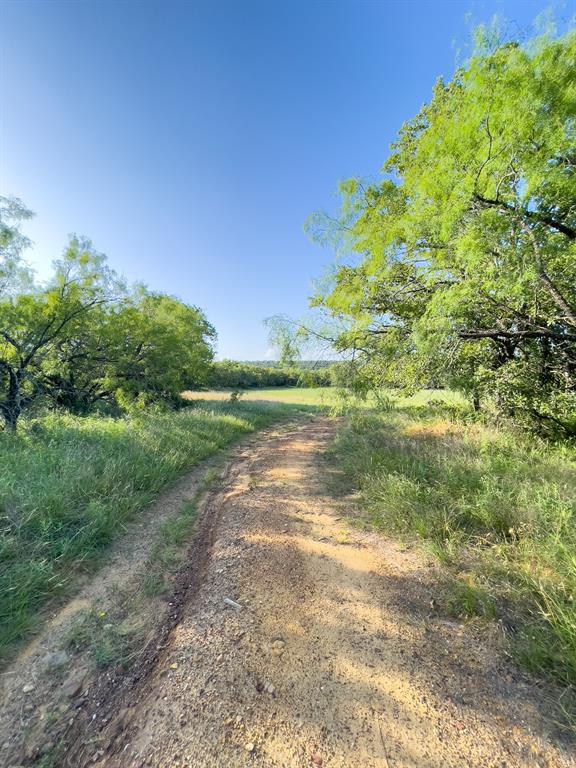 L 1 Rivertrail Circle Mingus, TX 76463 - Photo 16 of 37 a view of a yard with a house