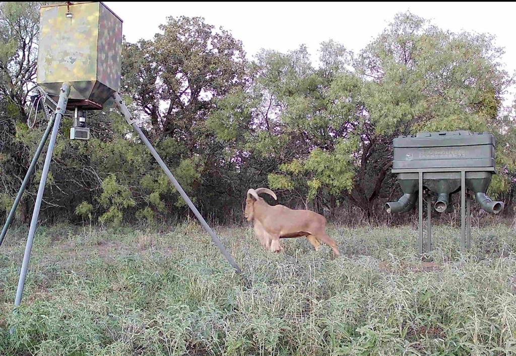 L 1 Rivertrail Circle Mingus, TX 76463 - Photo 19 of 37 a view of a chairs in a backyard