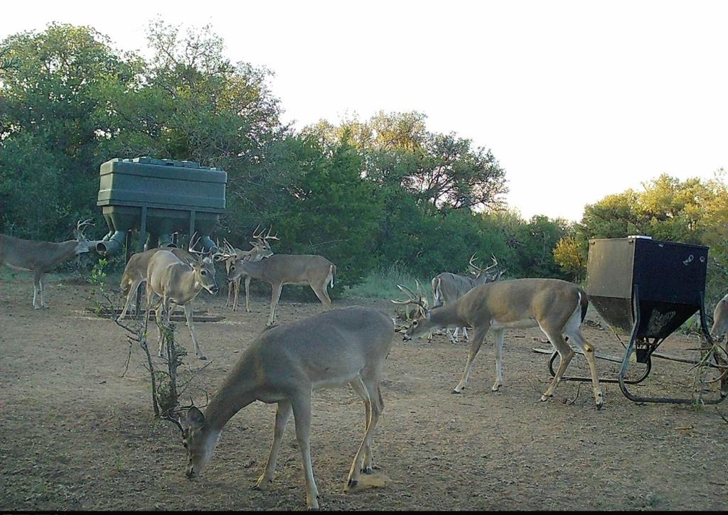 L 1 Rivertrail Circle Mingus, TX 76463 - Photo 20 of 37 a view of a yard with furniture