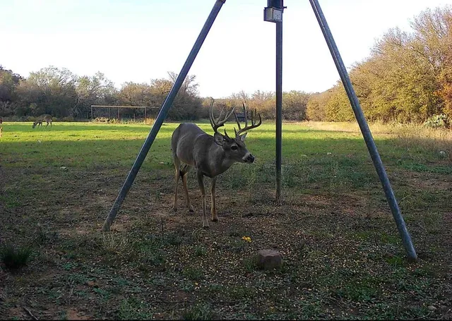 a view of a lake and a yard
