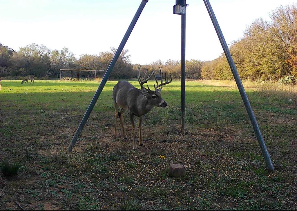 L 1 Rivertrail Circle Mingus, TX 76463 - Photo 21 of 37 a view of a park