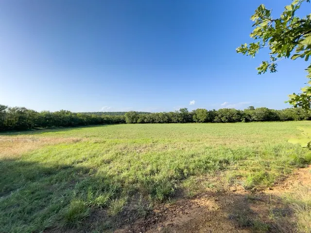 a view of a green field and an ocean